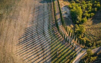 What It’s Really Like to Drive in Tuscany