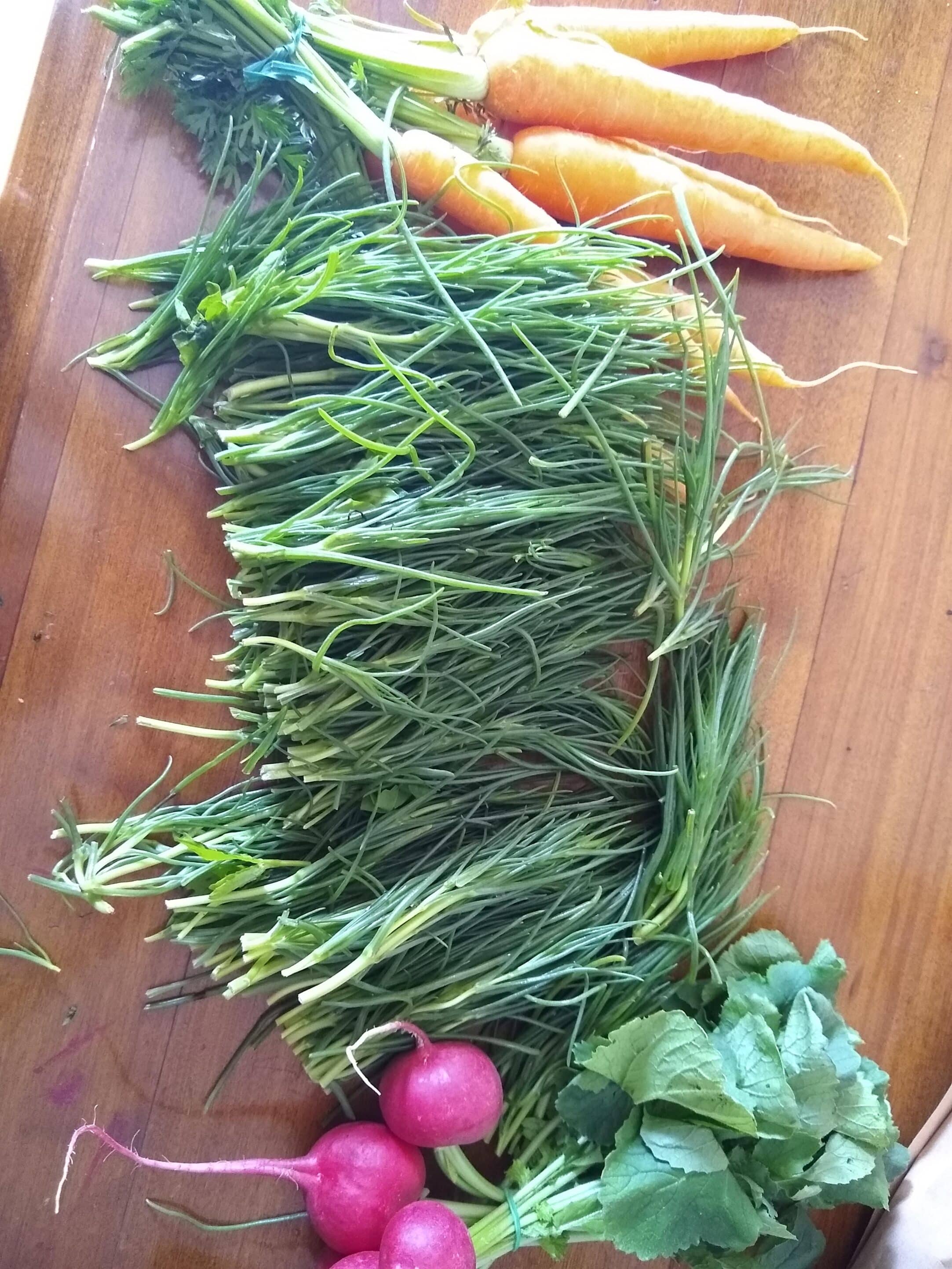 cooking with Italian herbs cooking with Italian herbs