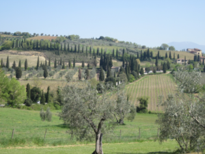 view from Montalcino